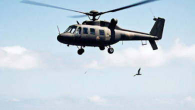 what allows birds to not fly near helicopters​